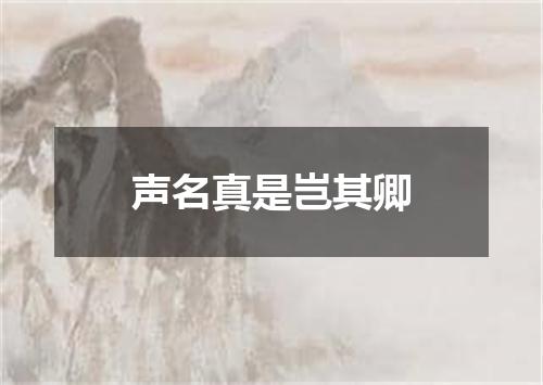 声名真是岂其卿