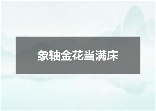 象轴金花当满床
