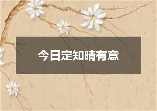 今日定知晴有意