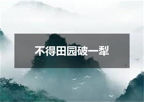 不得田园破一犁