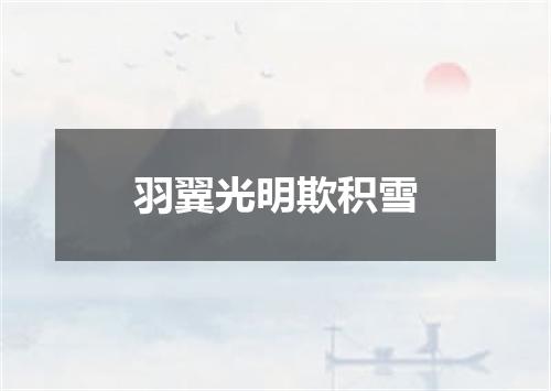 羽翼光明欺积雪