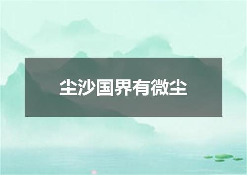 尘沙国界有微尘