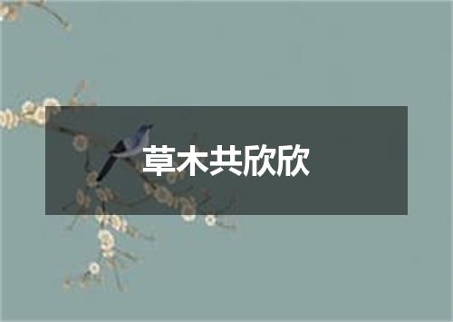 草木共欣欣
