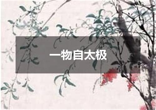 一物自太极