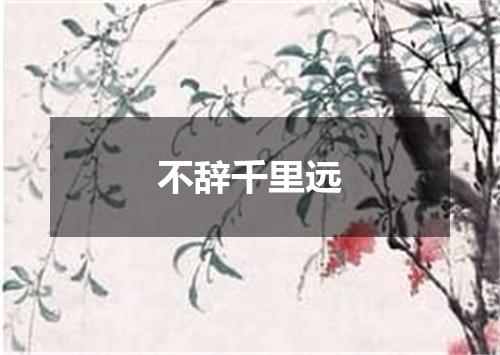 不辞千里远