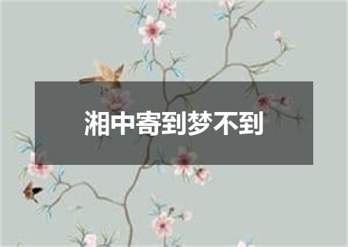 湘中寄到梦不到