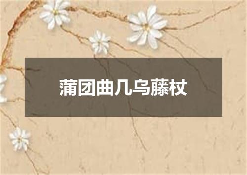 蒲团曲几乌藤杖