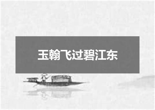玉翰飞过碧江东