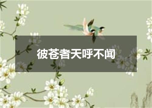 彼苍者天呼不闻