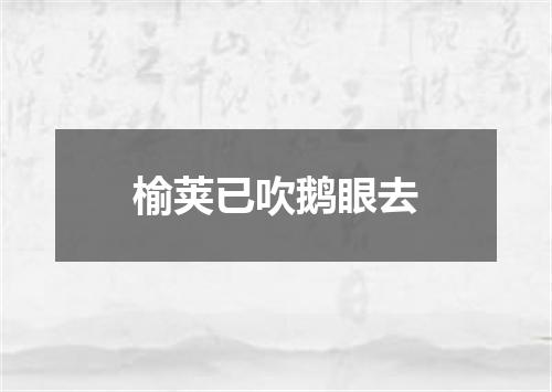 榆荚已吹鹅眼去