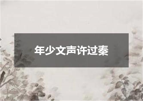 年少文声许过秦