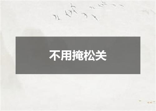 不用掩松关