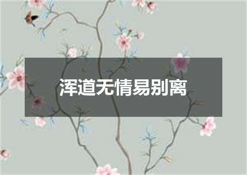 浑道无情易别离