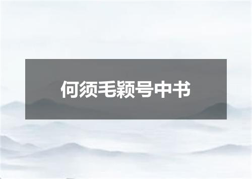 何须毛颖号中书