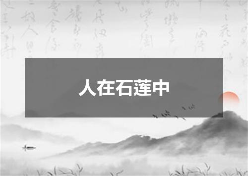 人在石莲中