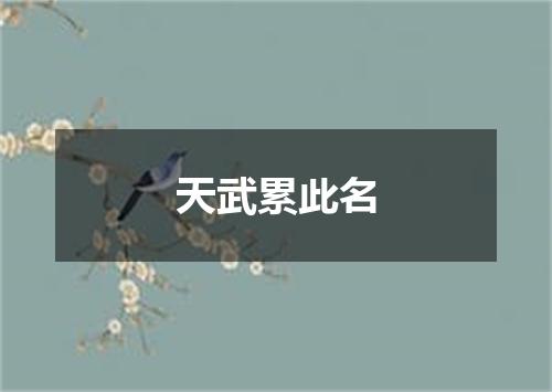 天武累此名