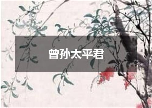 曾孙太平君
