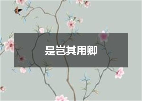 是岂其用卿