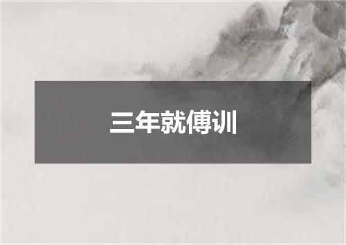 三年就傅训