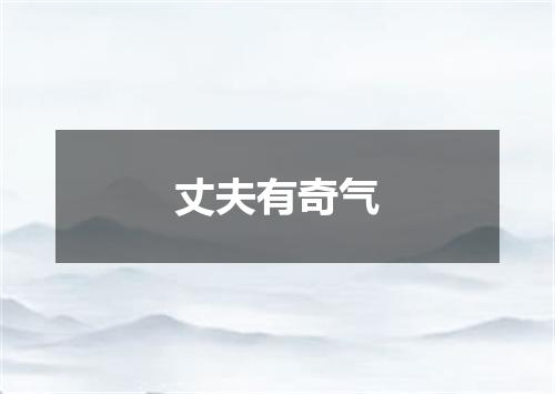丈夫有奇气