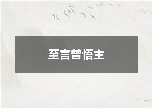 至言曾悟主