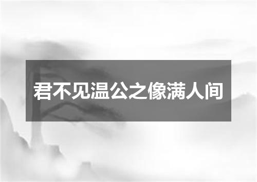 君不见温公之像满人间