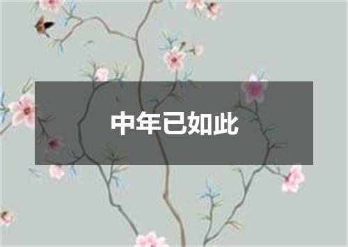 中年已如此