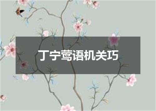 丁宁莺语机关巧