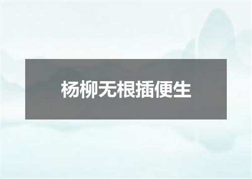 杨柳无根插便生