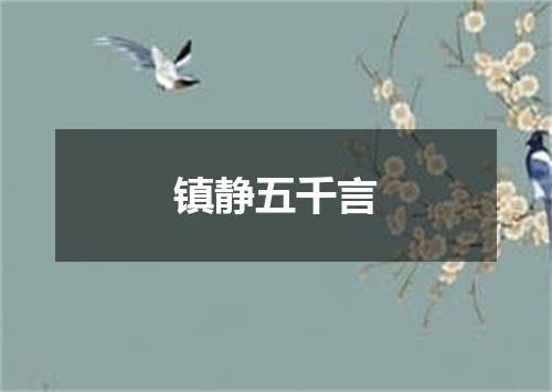 镇静五千言