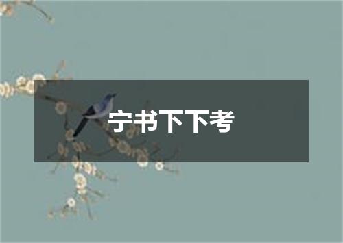 宁书下下考
