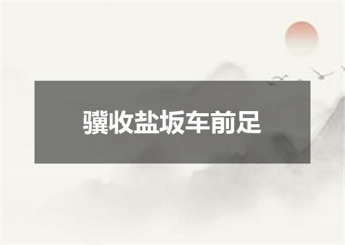 骥收盐坂车前足