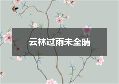 云林过雨未全晴
