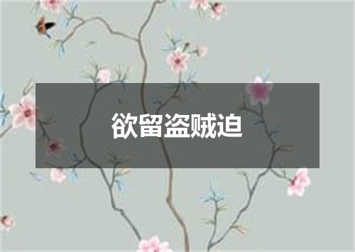欲留盗贼迫
