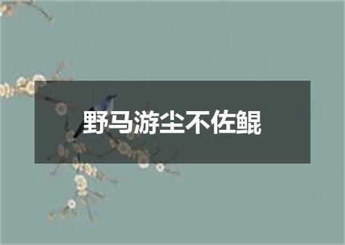 野马游尘不佐鲲