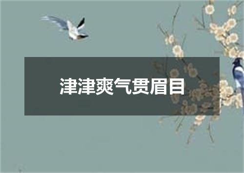 津津爽气贯眉目
