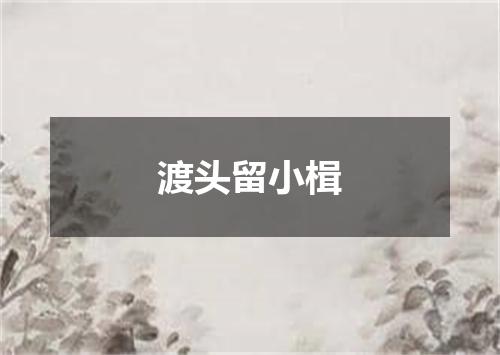 渡头留小楫