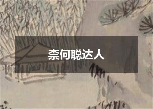 柰何聪达人