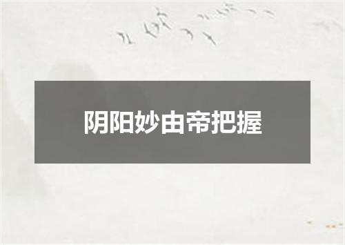 阴阳妙由帝把握