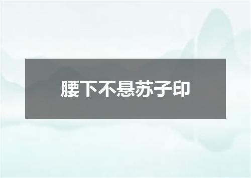 腰下不悬苏子印