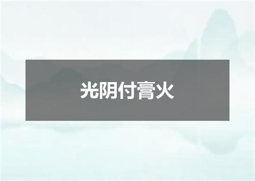 光阴付膏火
