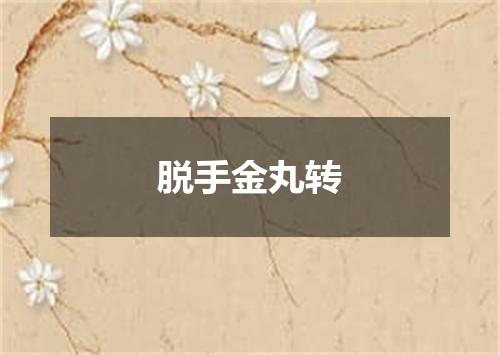 脱手金丸转