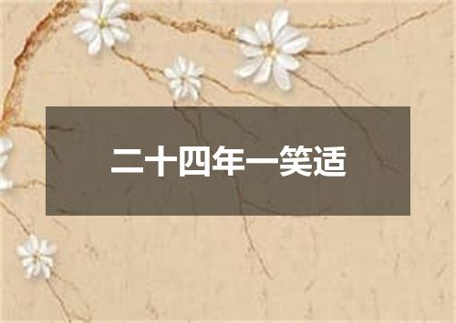 二十四年一笑适