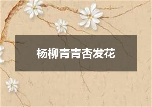 杨柳青青杏发花