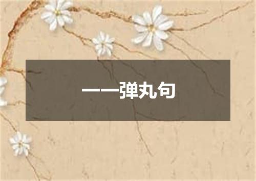 一一弹丸句