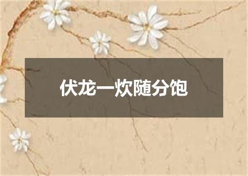 伏龙一炊随分饱
