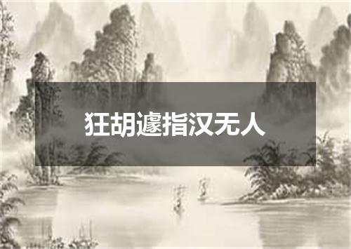 狂胡遽指汉无人