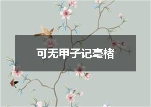 可无甲子记毫楮