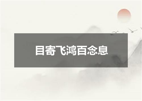 目寄飞鸿百念息