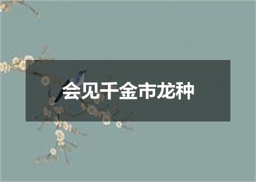 会见千金市龙种